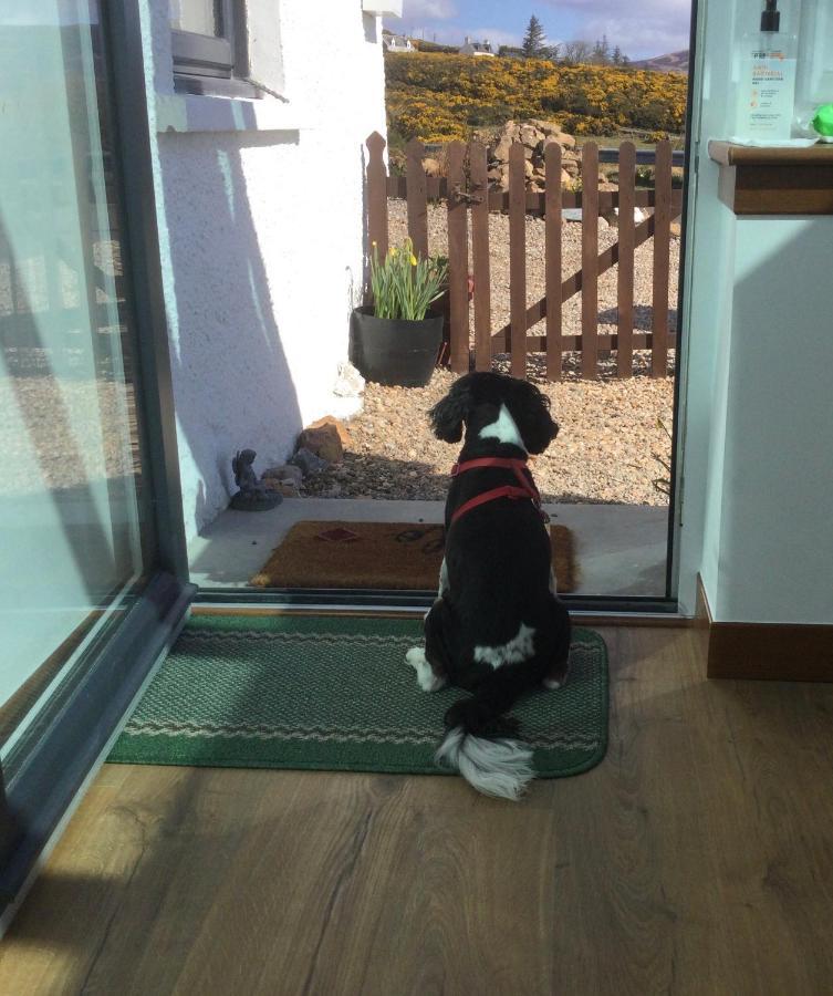 Piper'S Cave Bed And Breakfast Helmsdale Luaran gambar